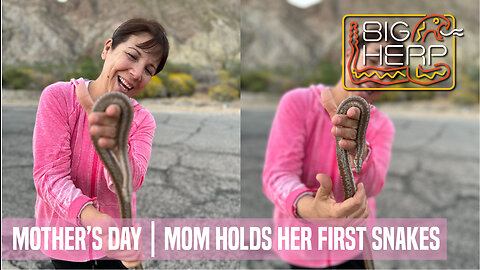 Road Cruising For Snakes On Mother's Day | Mom Holds Her First Snakes