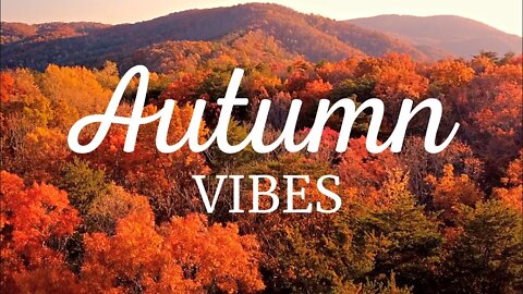 AUTUMN VIBES! Exhale with Nature & Piano #autumnlook #autumnmusic #autumnleaves #autumnchill #zen