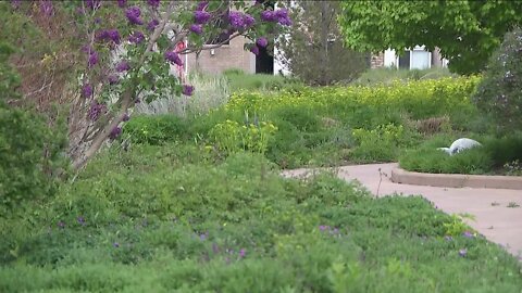 Gov. Polis signs law expanding environmental options for home landscaping in Colorado