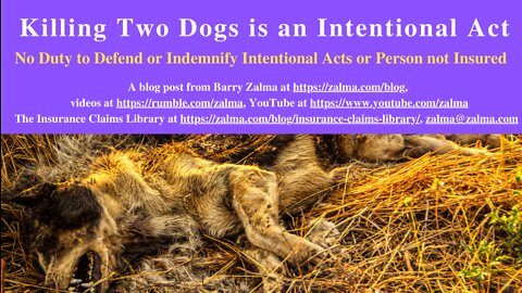 Killing Two Dogs is an Intentional Act
