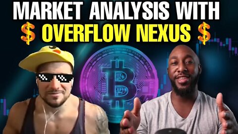 BEAR MARKET? | ANALISIS WITH OVERFLOW NEXUS