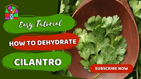 Easy Tutorial - How To Dehydrate YOUR OWN Cilantro #homesteading #homemadeherbs #prestodehydrator