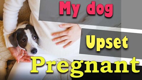 I Was Excited to Share the News of My Pregnancy with Molly - The Reactions
