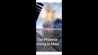 Terror On Maui