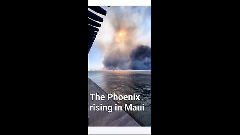 Terror On Maui
