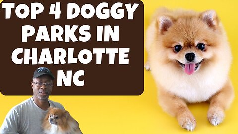 Top Dog Parks In Charlotte