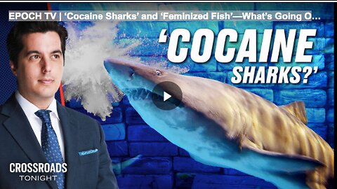 EPOCH TV | ‘Cocaine Sharks’ and ‘Feminized Fish’—What’s Going On