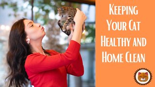 🐱 Cats 101 🐱01 Keeping Your Cat Healthy and Your Home Clean