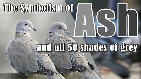 The Symbolism of Ash and all 50 shades of grey