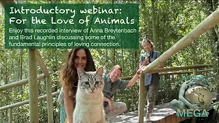Introductory webinar: For the Love of Animals