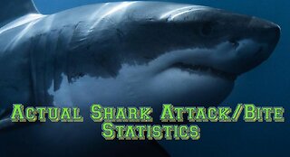 Actual Shark Attack/Bite Statistics