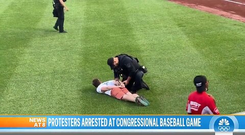 Climate Crazies Arrested At Congressional Baseball Game For Running Onto The Field