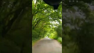 Country driving..Hampshire. speedlapse. June 2022