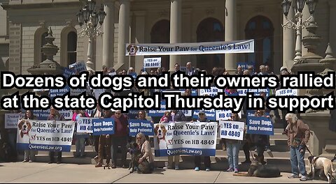 Dozens of dogs and their owners rallied at the state Capitol Thursday in support