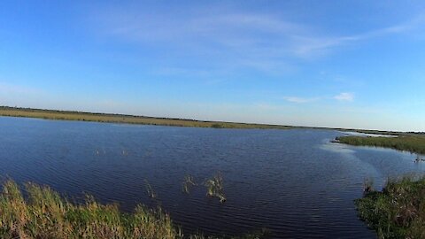 Reconnaissance of Buck Lake in Brevard County, Florida