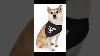 Top G catches Shiba Inu 💀 #andrewtate #topg #shiba #shibainu #funny #dog #petbandana #merch #pet