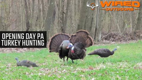 Opening Day PA Turkey Hunting