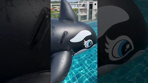 Floating Orca pool toy! #shorts