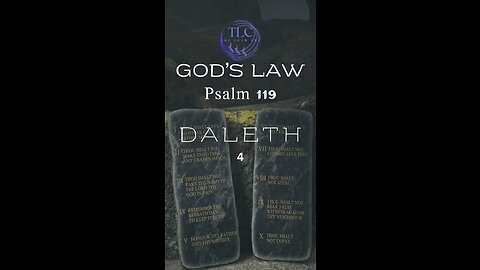 GOD'S LAW - Psalm 119 - 4 - Prayer for understanding the law #shorts