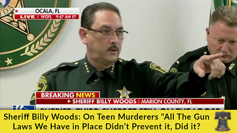 Sheriff Billy Woods: On Teen Murderers 'All The Gun Laws We Have in Place Didn’t Prevent it, Did it?'