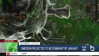 Omicron projected to be dominant variant by January