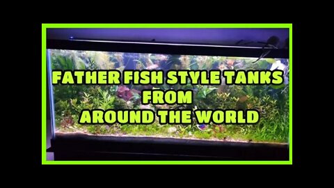FATHER FISH DEEP SUBSTRATE TANKS AROUND THE WORLD - BY NARESH