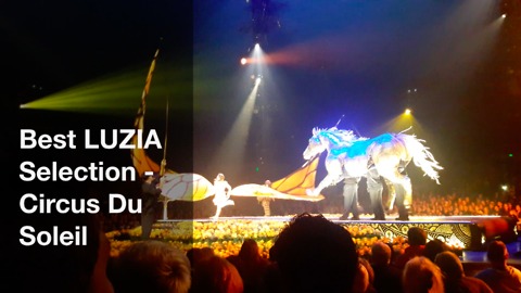 Best LUZIA Selection from Circus De Sole