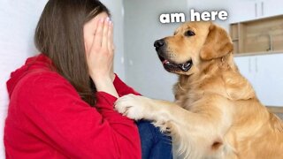 Golden Retriever's Funny Reaction to Me Crying!