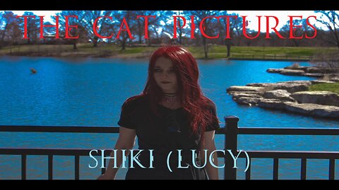 The Cat Pictures (feat. Rena Bond) - (Shiki) Lucy