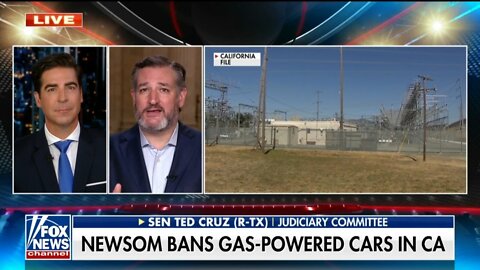 Ted Cruz: Today's Democratic Party Is All About California Environmentalist Billionaires