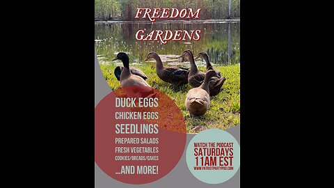 Freedom Gardens 11: Freedom Bees! I Live at 12pm EST