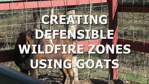 CREATING DEFENSIBLE WILDFIRE ZONES USING GOATS