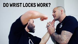 WRIST LOCKS! Do They Really Work For Self-Defense?