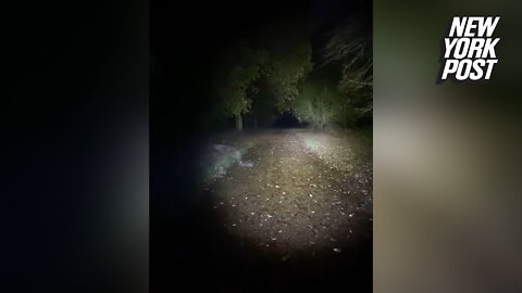 Dog-walking couple sees demonic figure scurry across path, caught on video