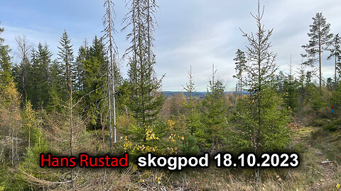 Skogpod 18. oktober 2023