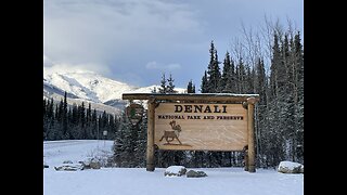 Denali National Park Trekking Tour from Fairbanks, Alaska