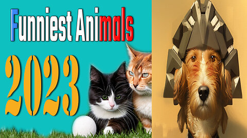 Funniest Animals 2023