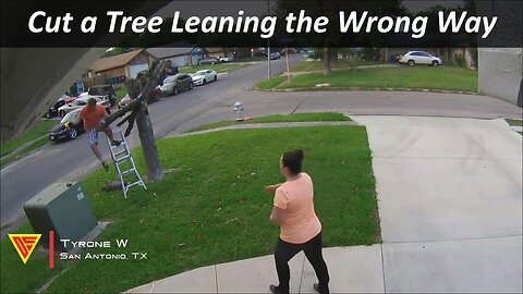 Cut a Tree Leaning the Wrong Way Caught on Nest Camera | Doorbell Camera Video