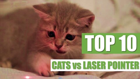 TOP 10 CATS vs LASER POINTER