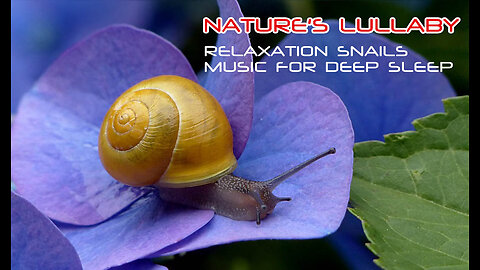 Nature's Lullaby: Relaxing Snails Music for Deep Sleep