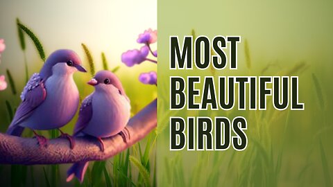 top 10 most beautiful birds in the world.