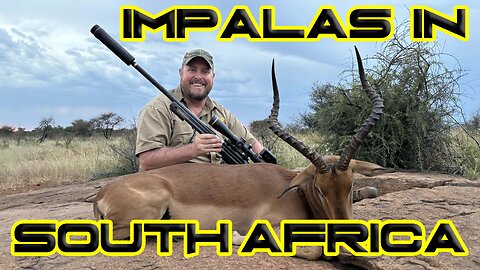 Hunting Big Impala in South Africa