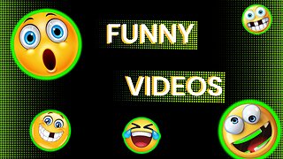 Funny Videos - funny