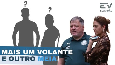 ✅Palmeiras Segue Atrás de Reforços #palmeiras#leilapereira#barros