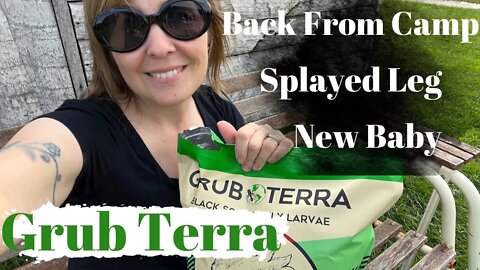 How to fix a Splayed Leg | New Baby | Back from Camp | Grub Terra