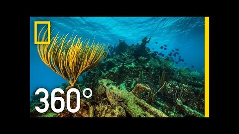 360°Underwater