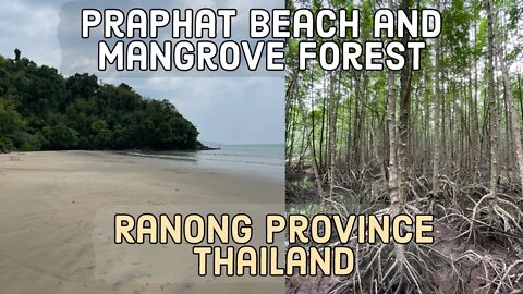 Praphat Beach (Pra Pas Beach) and Mangrove Forest Ranong Thailand