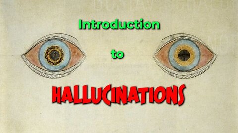 Introduction to Hallucinations