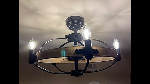 Caged Ceiling Fan with Lights Remote Control, MADSHNE 23'' Black Modern Farmhouse Ceiling Fan,...