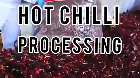 Red Chilli Processing 🔥#dailyhackness #chilli #processing #factory #useful #viral #viralvideo2022